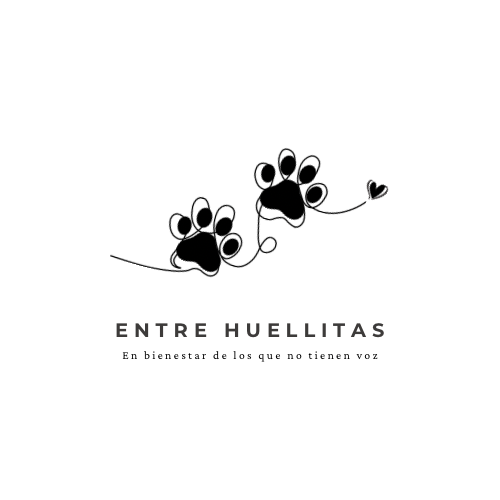 Entre Huellitas